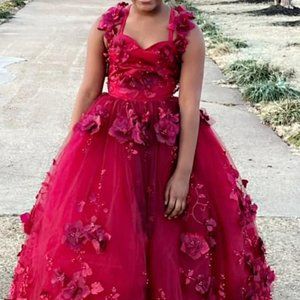 Red Ball, Pageant, Christmas, Valentine, Tutu Dress